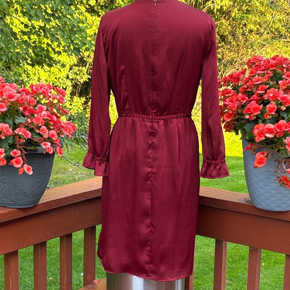 NWOT-Alex Marie Deep Red Long Sleeve Dress - Picture 3 of 13